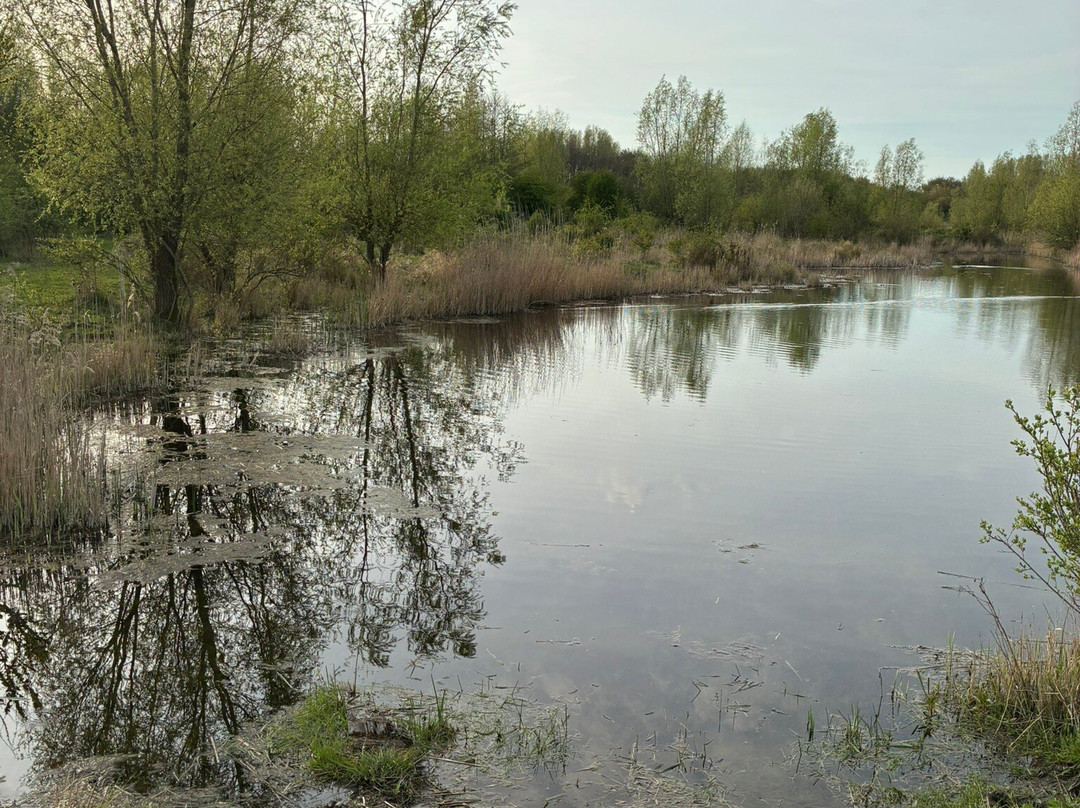 Schinkelbos-Aalsmeer必去景点