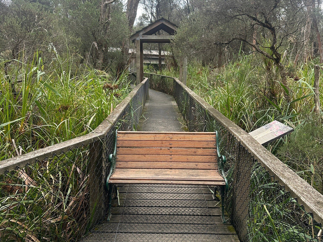Boneo Discovery Park-Fingal必去景点
