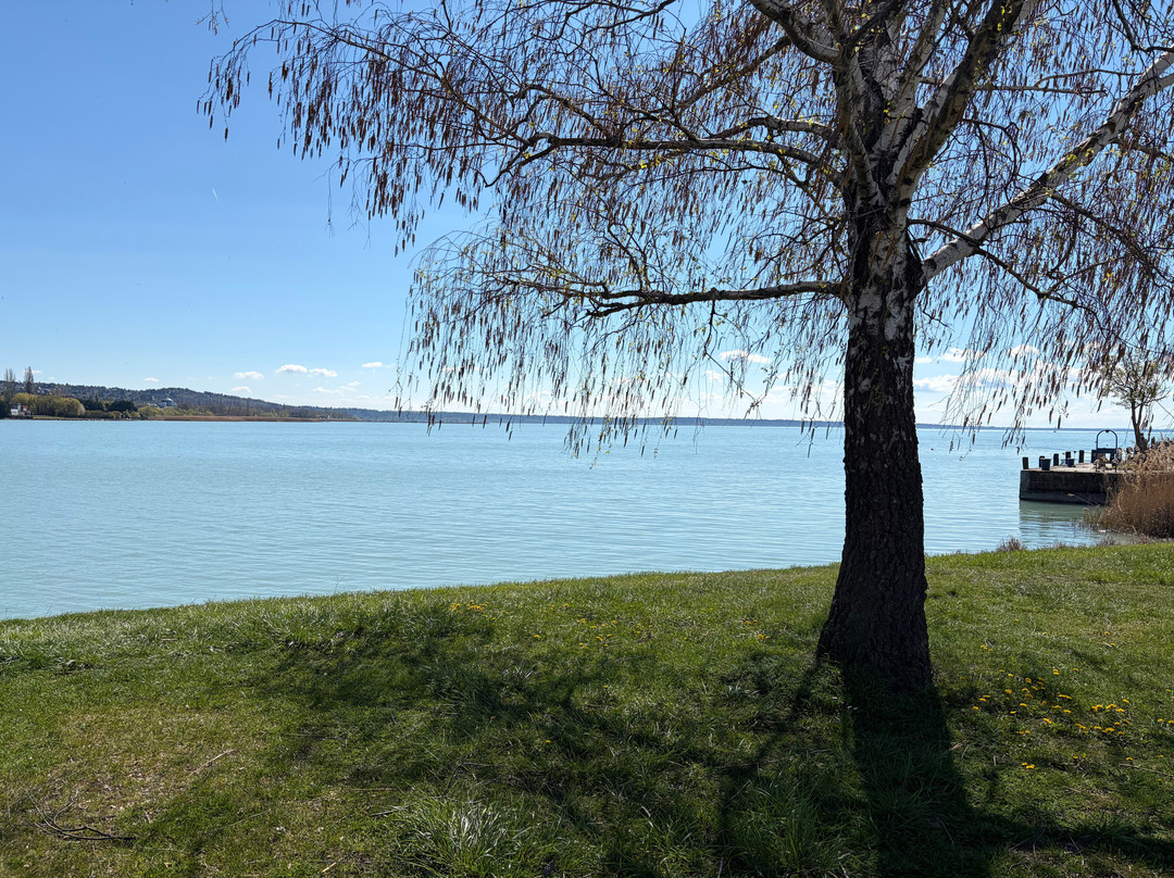 Széchényi Park, Balatonkenese-Balatonkenese必去景点