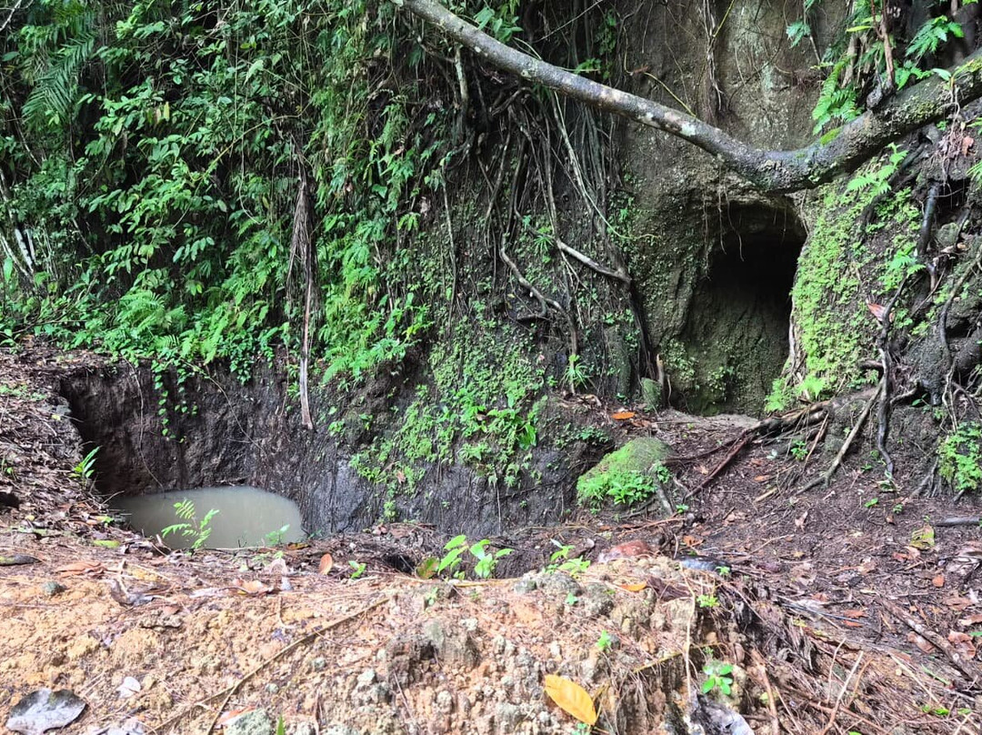 Tulagi Tours & Travel-Tulagi Island必去景点