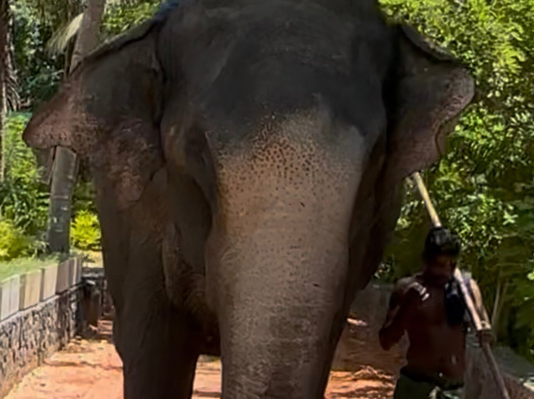 Charli Tours-亚洪加拉必去景点