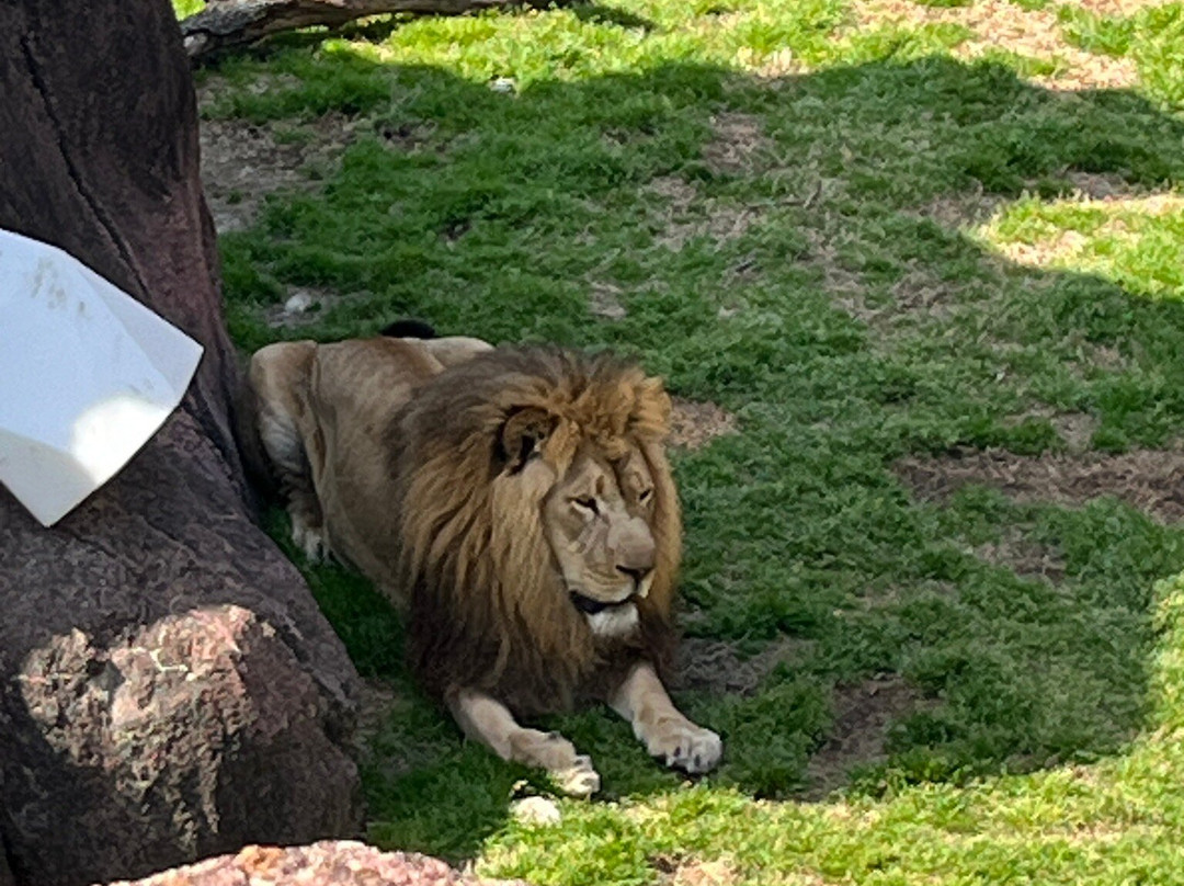 Virginia Zoo-诺福克必去景点