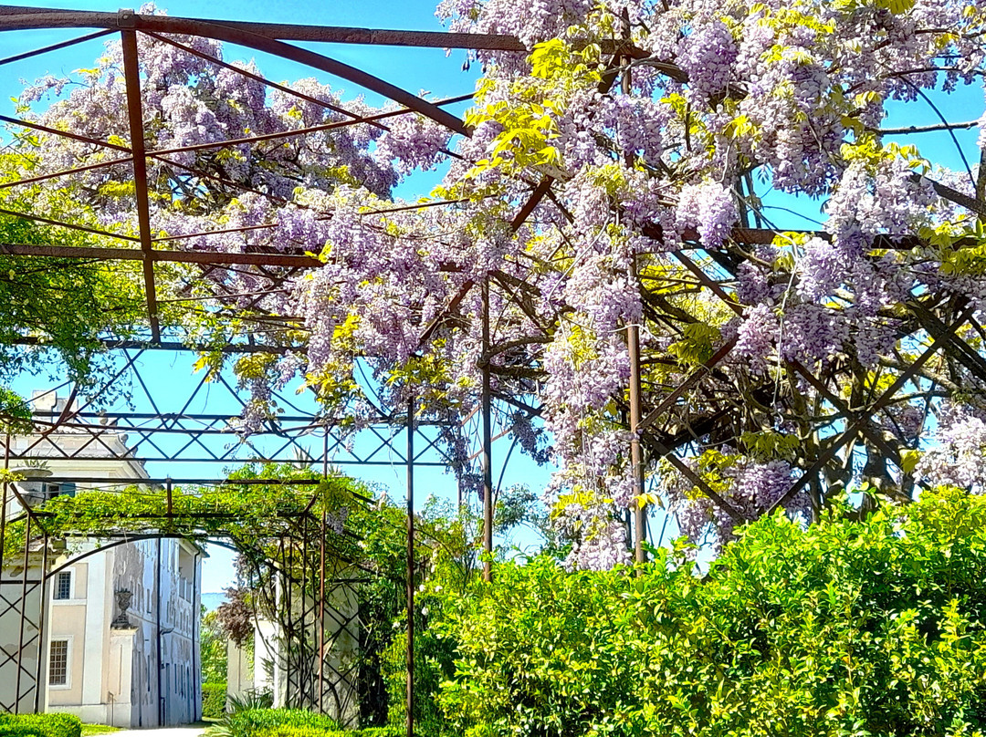 Villa Pianciani主图
