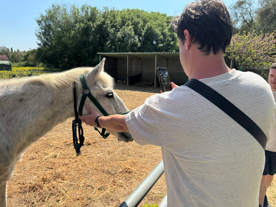 Corfu Donkey Rescue-Paleokastritsa必去景点