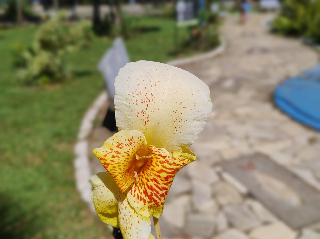 Parque das Aguas-Lambari必去景点
