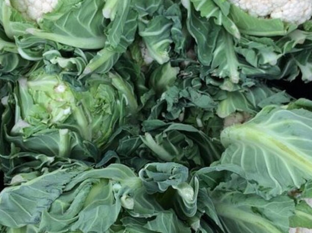 Crewkerne Farmers' Market-Crewkerne必去景点