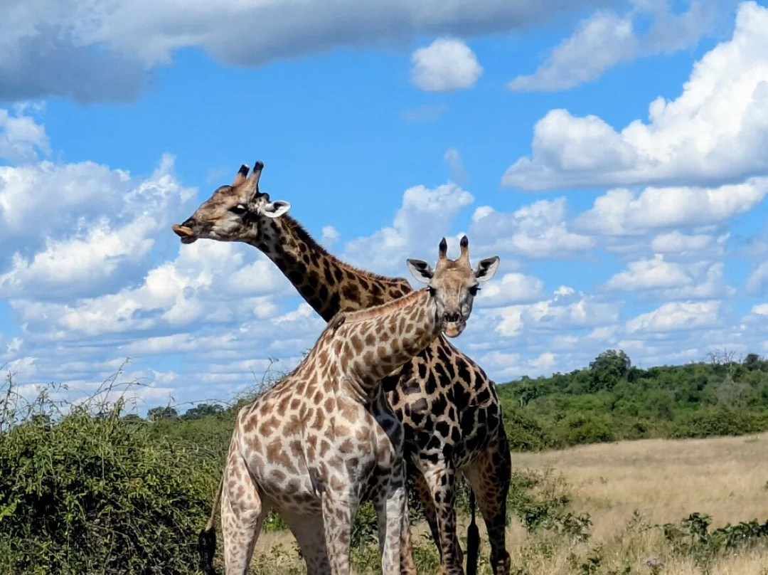 African Overland Tours-开普敦中心区必去景点
