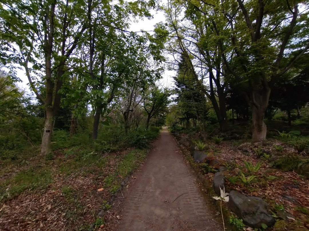 Hirosaki Castle Botanical Garden-弘前市必去景点