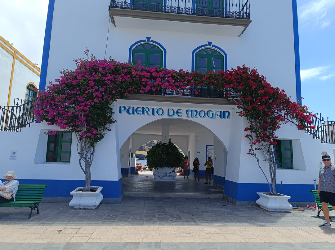 Puerto De Mogán-莫干港必去景点