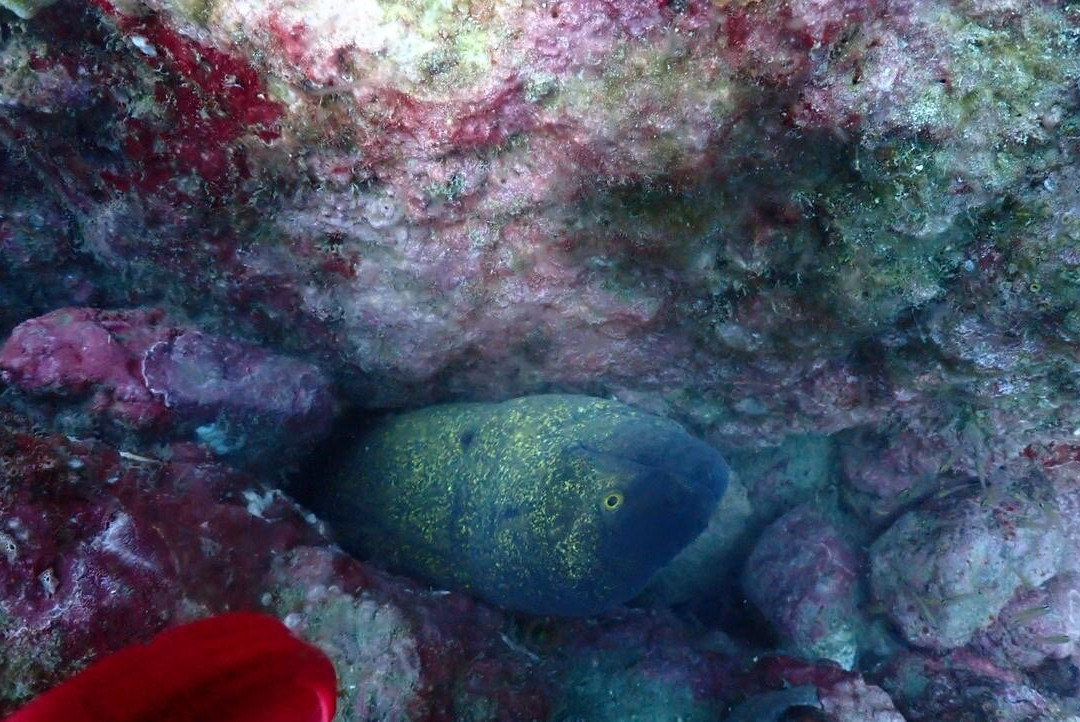 Epic Ocean Adventures-Trincomalee必去景点