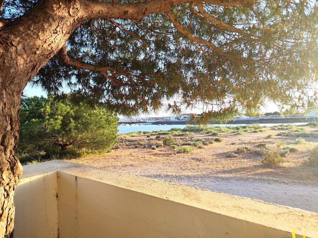 Vila Galé Albacora 生态海滩之旅主图