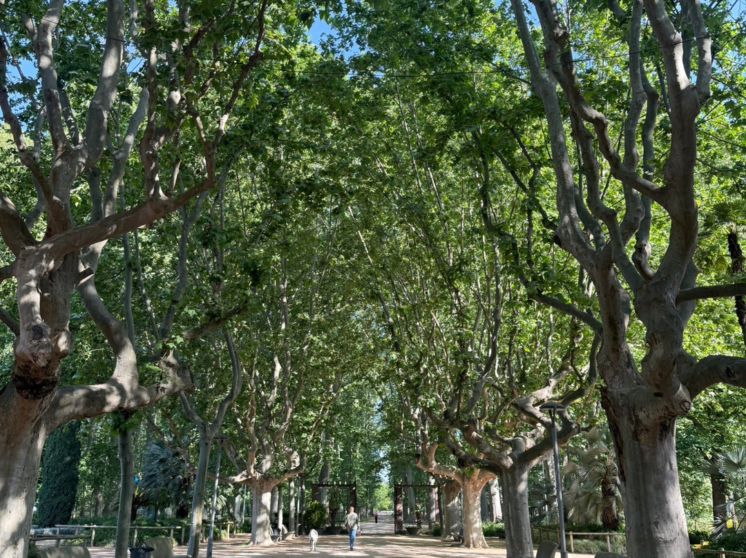 Parc de la Devesa-赫罗那必去景点