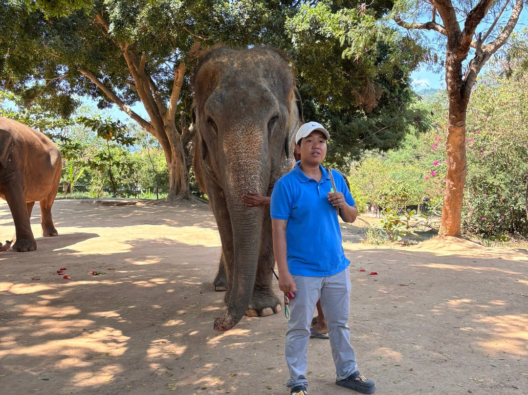 Samui Elephant Sanctuary-波普特必去景点