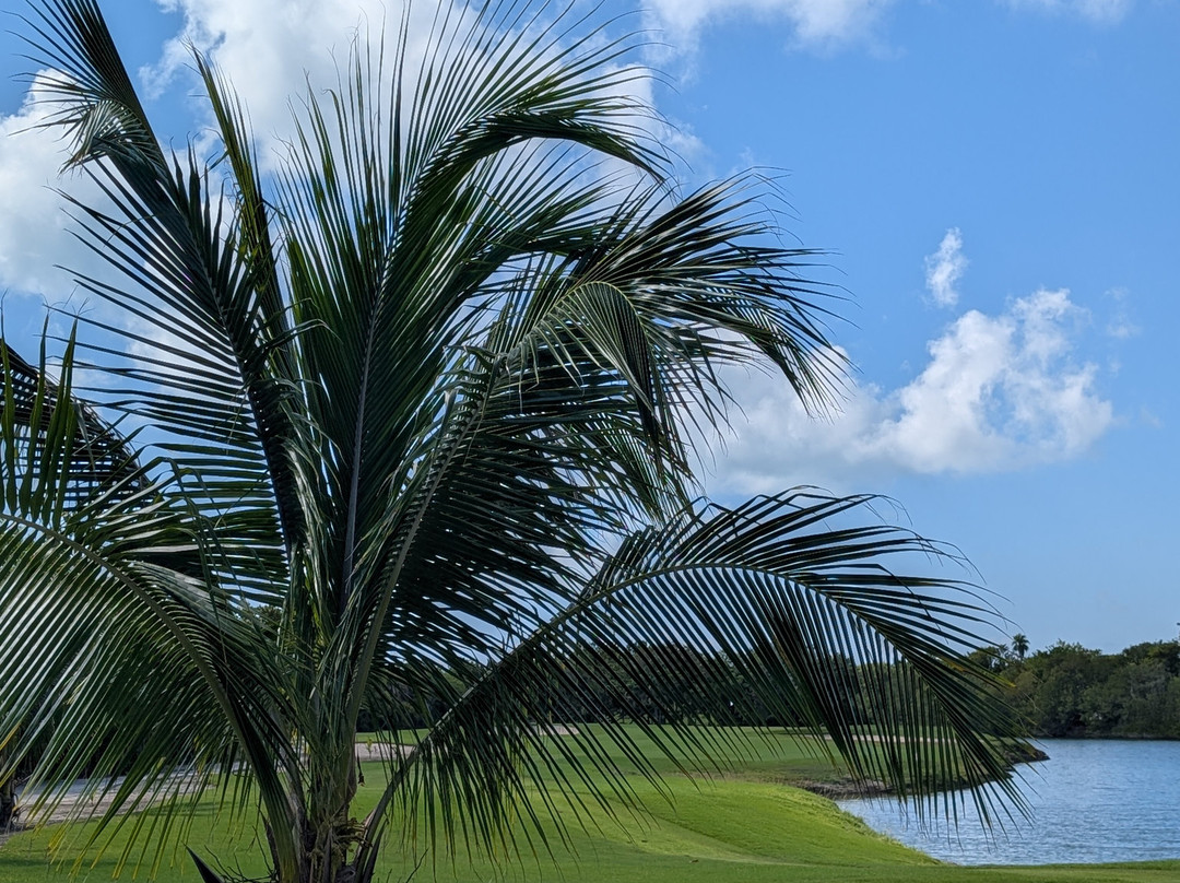 Playa Mujeres Golf Club-Punta Sam必去景点