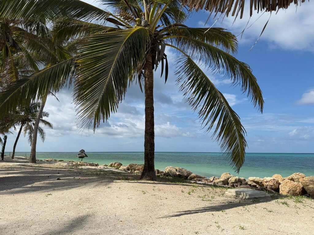 Tanzania Specialist-阿鲁沙必去景点