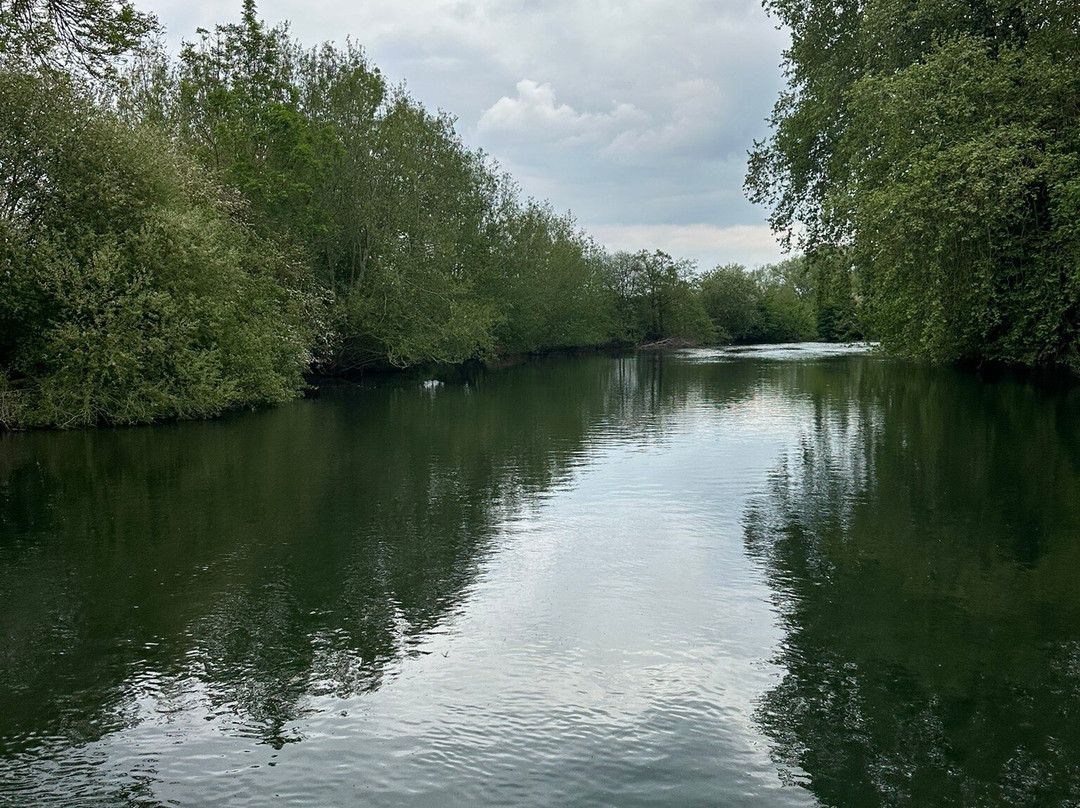 Thames Rivercruise-雷丁必去景点