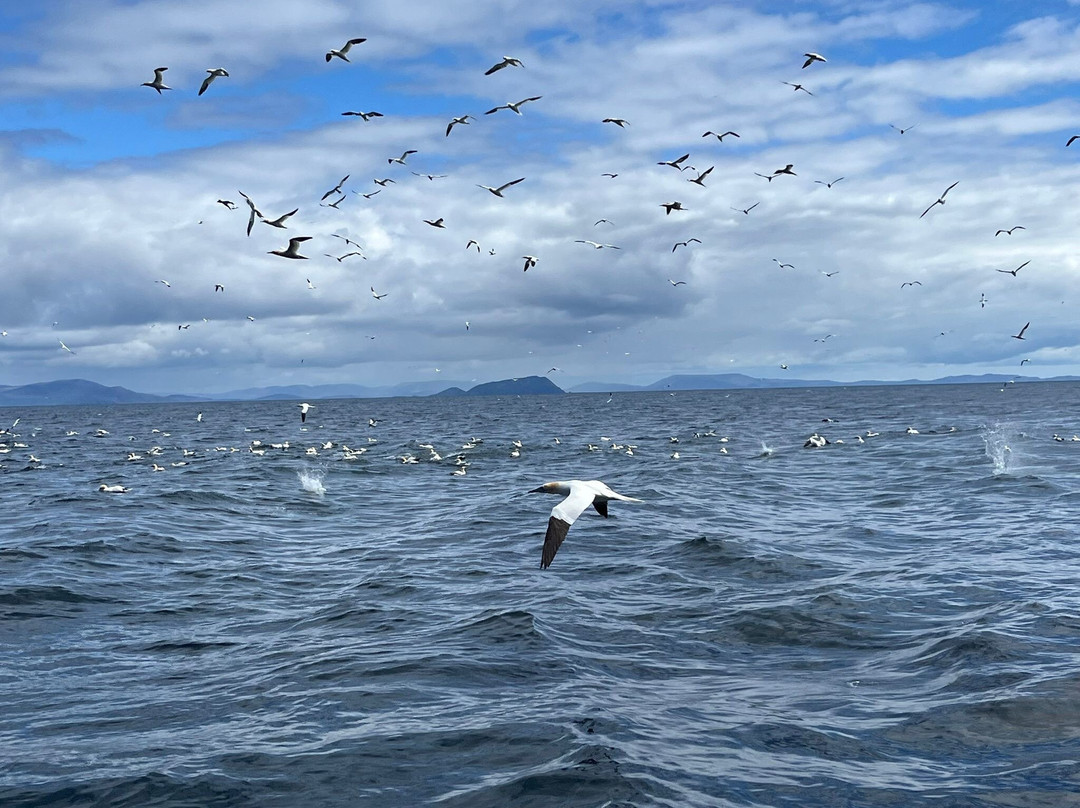 Skellig Coast Adventures-Portmagee必去景点