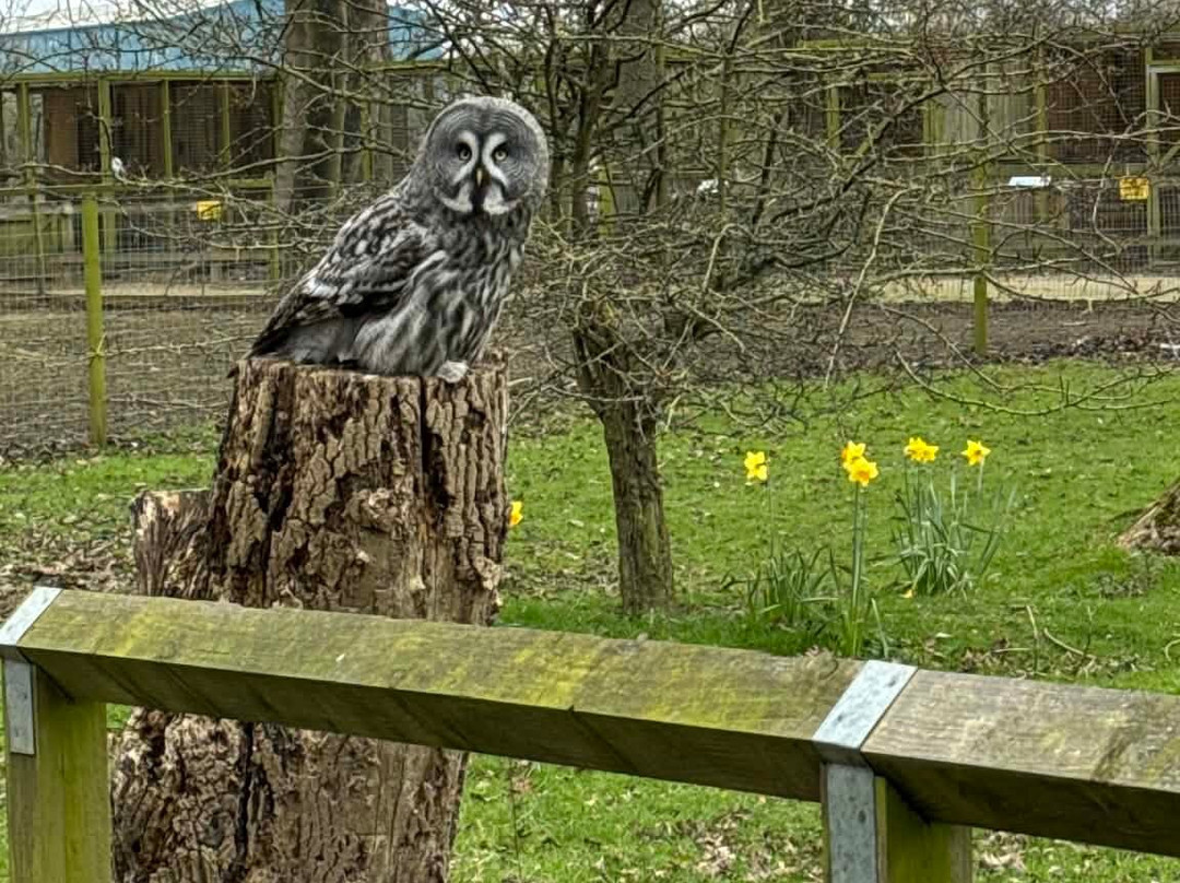 Bridlington Animal Park-布里德灵顿必去景点