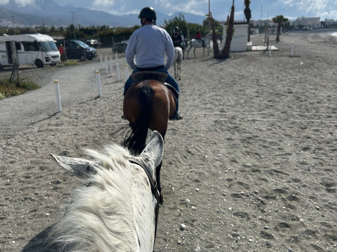 Andale Riding Nerja-内尔哈必去景点