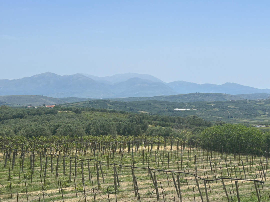 Winery Stilianou-Archanes必去景点