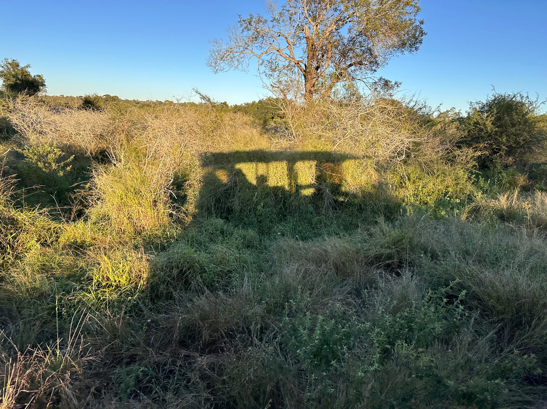 Southern Kruger Safaris-玛洛斯帕克必去景点