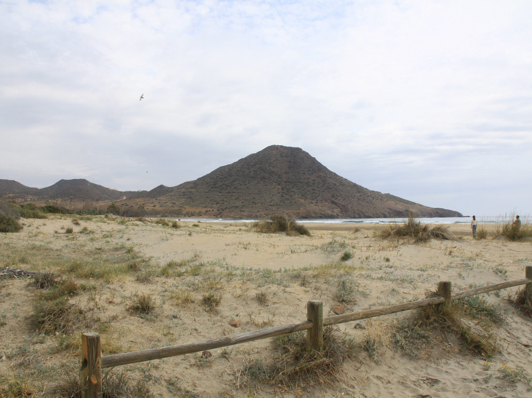 Playa de los Genoveses-加塔角必去景点