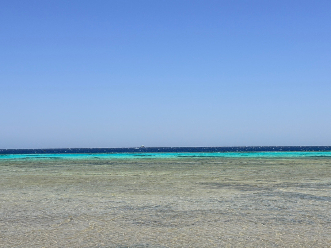 ORCA Dive Club Soma Bay-索马湾必去景点