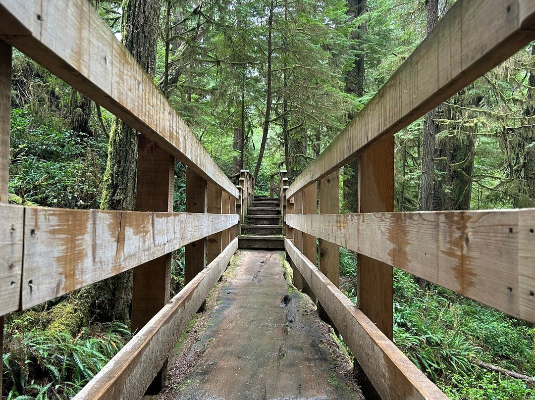 Rainforest Trail-托菲诺必去景点