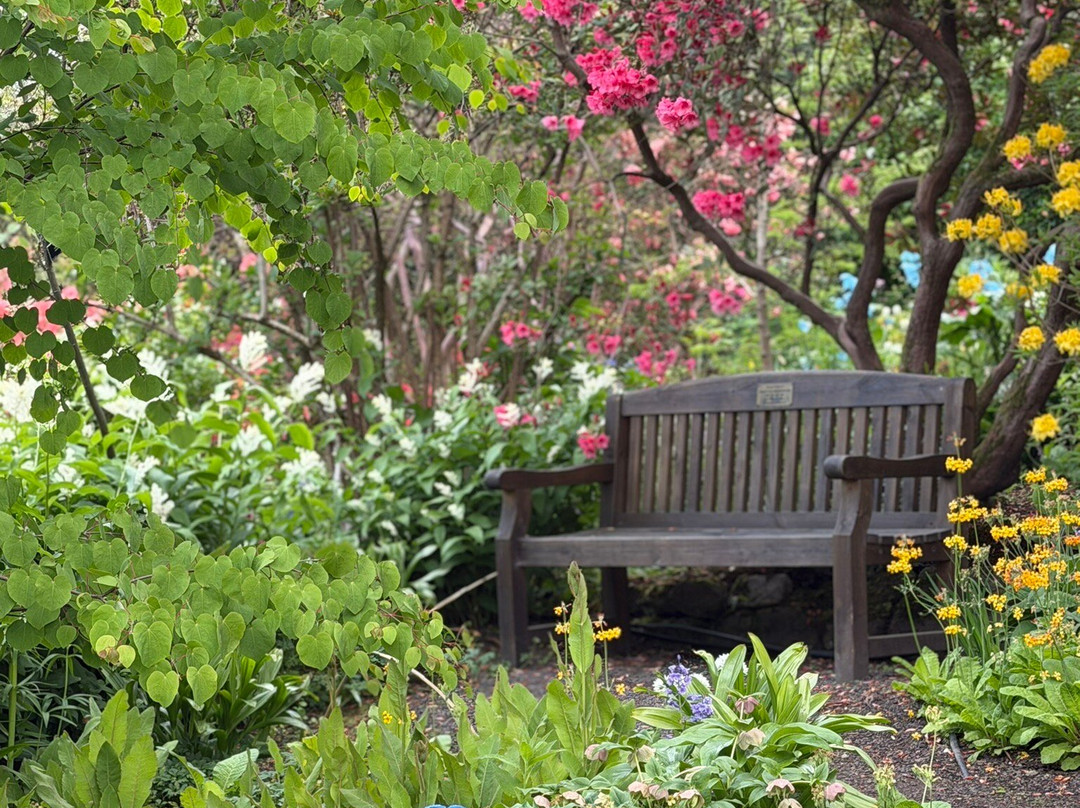 Branklyn Garden-珀斯必去景点
