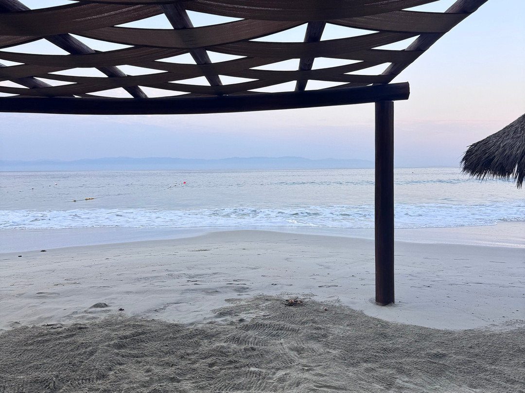 Grand Palladium Vallarta Resort & Spa主图