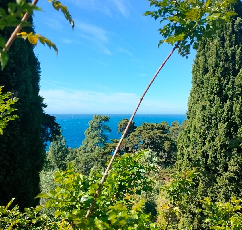 Giardini Botanici Hanbury - Villa Hanbury-文蒂米利亚必去景点