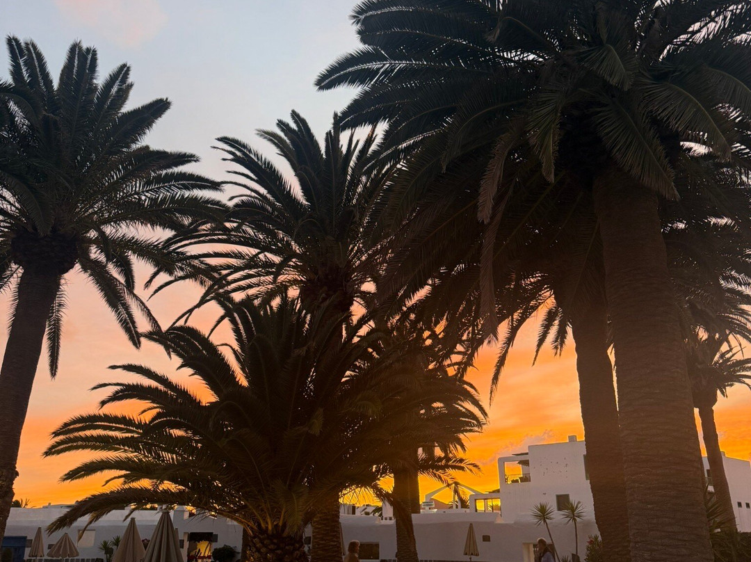 Paradisus Salinas Lanzarote –  全包 - 仅限成人主图