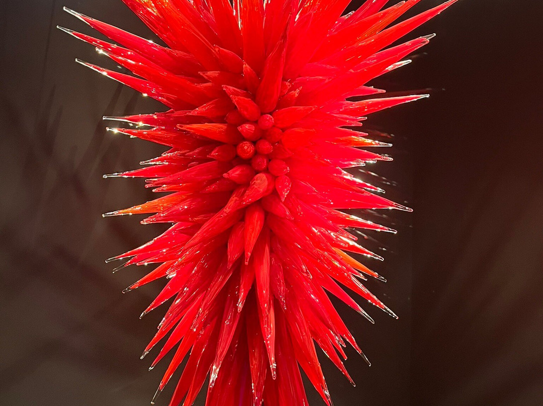 Chihuly Collection-圣彼德斯堡必去景点