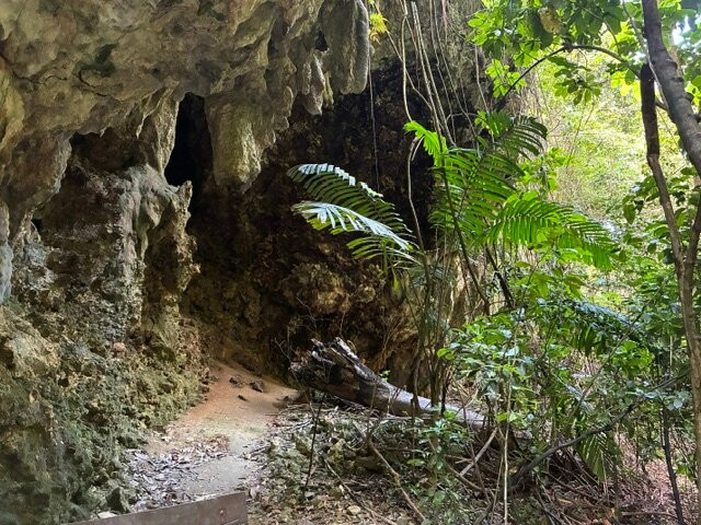 Welchman Hall Gully-Saint Thomas Parish必去景点