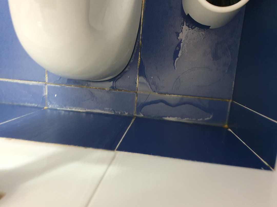 艾尔博格塞莱纳酒店主图