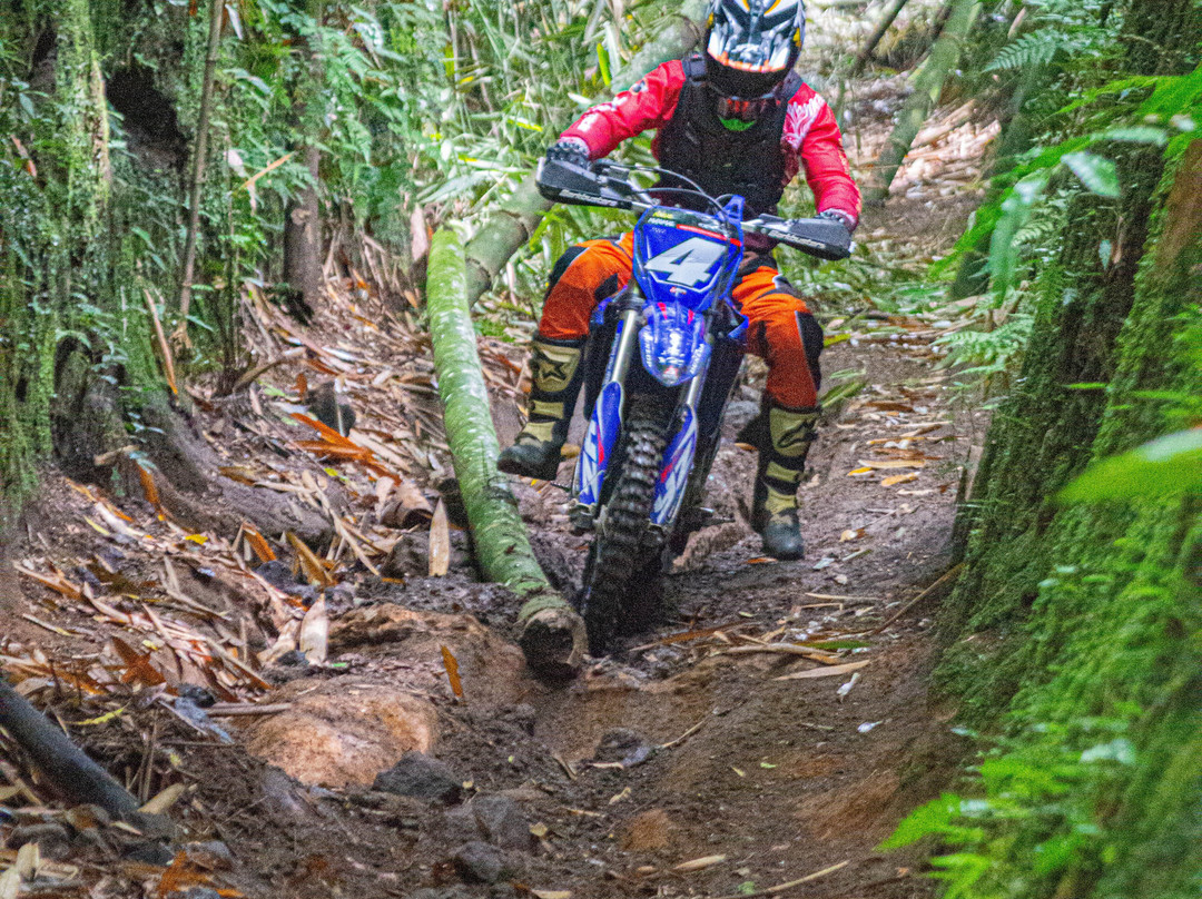 Bali Wilderness Dirt Bike - Day Tours-巴厘岛必去景点