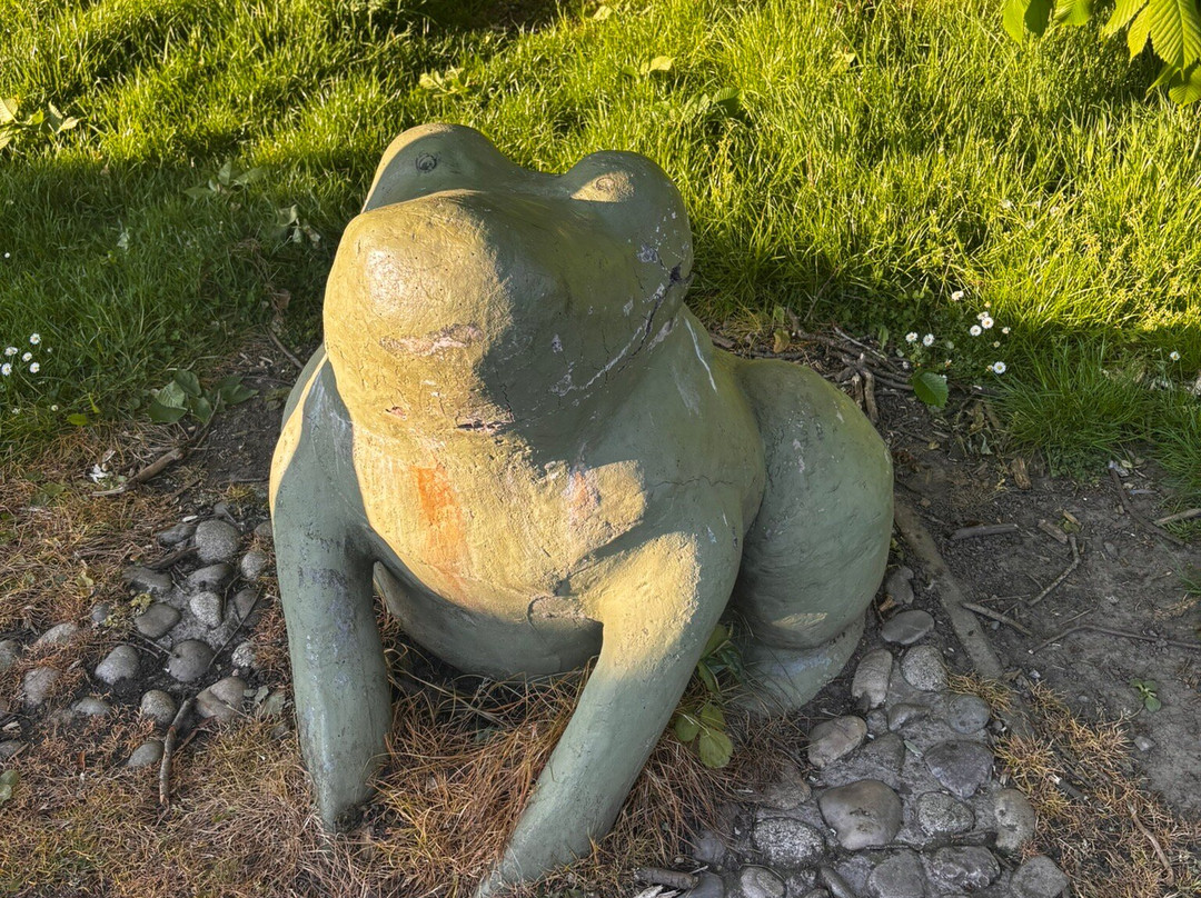 Soviet Frog