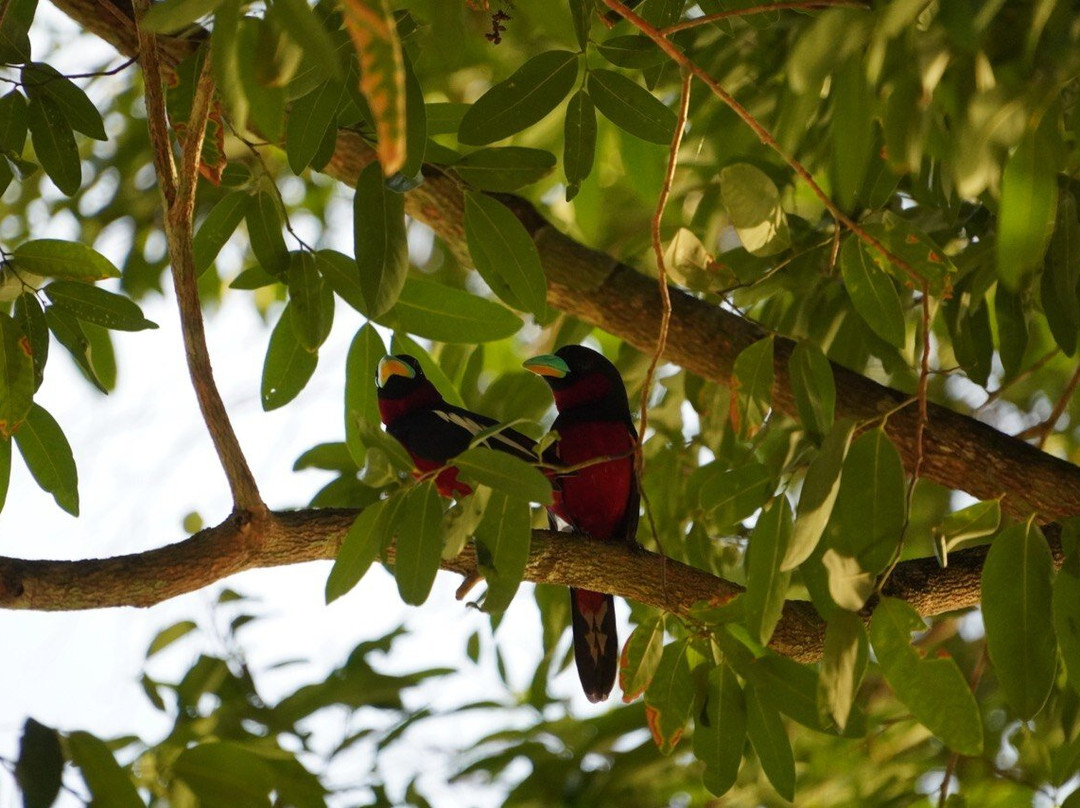 Vietnature Tour (cattien Wild Tour)-Tan Phu District必去景点