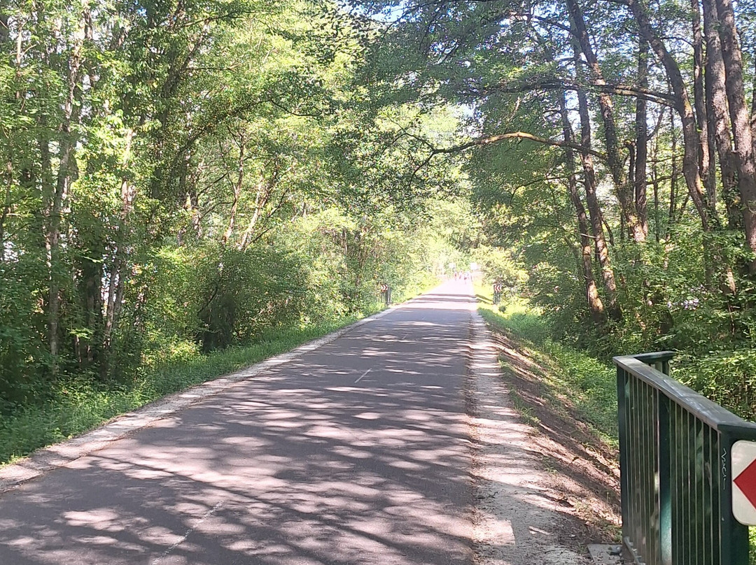 The Lake Annecy Greenway-安纳西必去景点