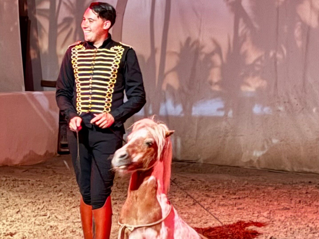 Cabaret Equestre des Sables-勒格罗迪鲁瓦必去景点