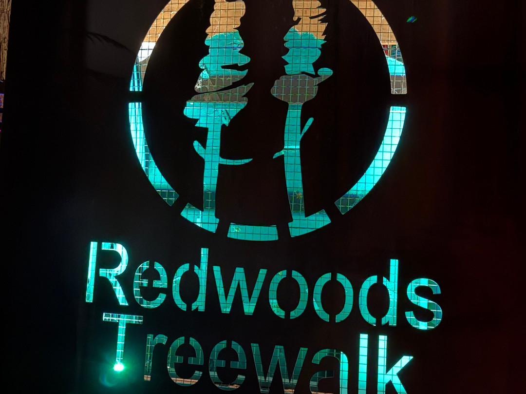 Redwoods Treewalk-罗托鲁瓦必去景点