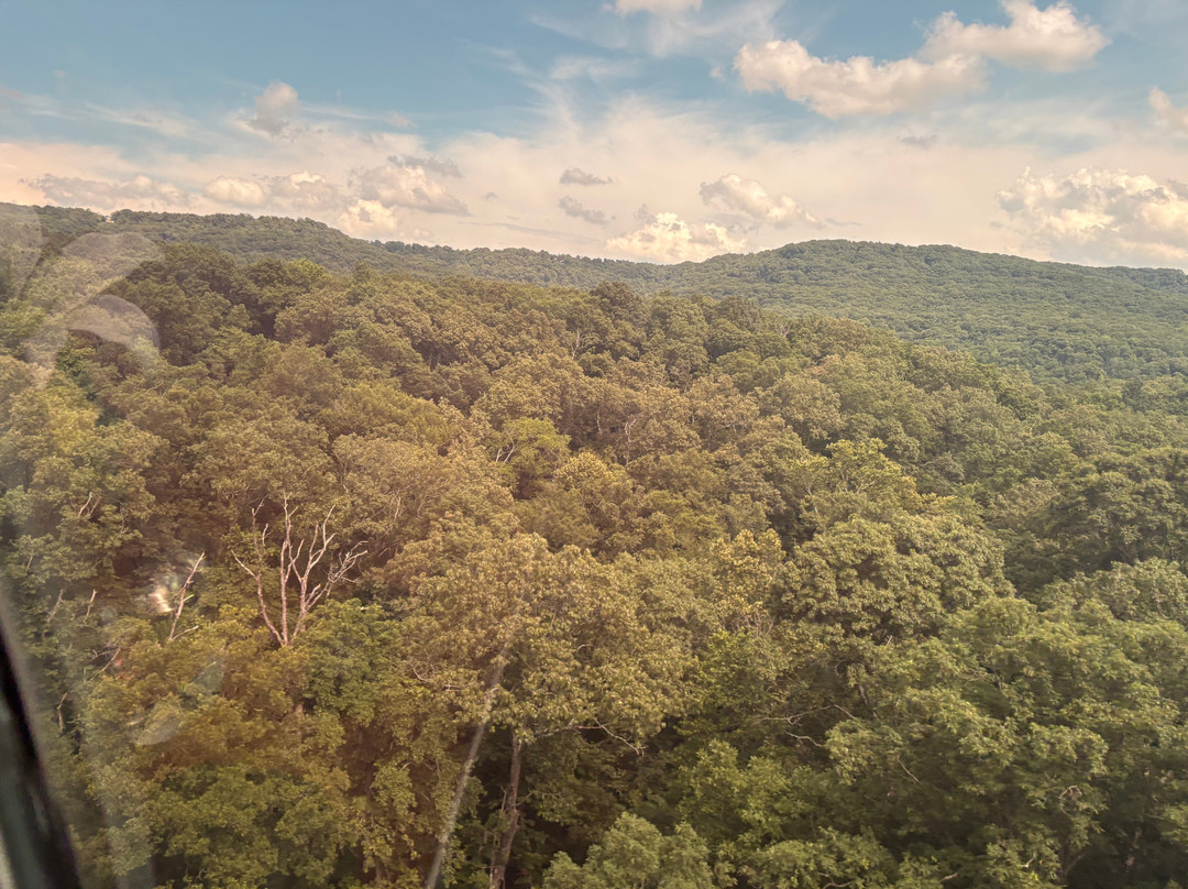 Arkansas & Missouri Railroad-Springdale必去景点