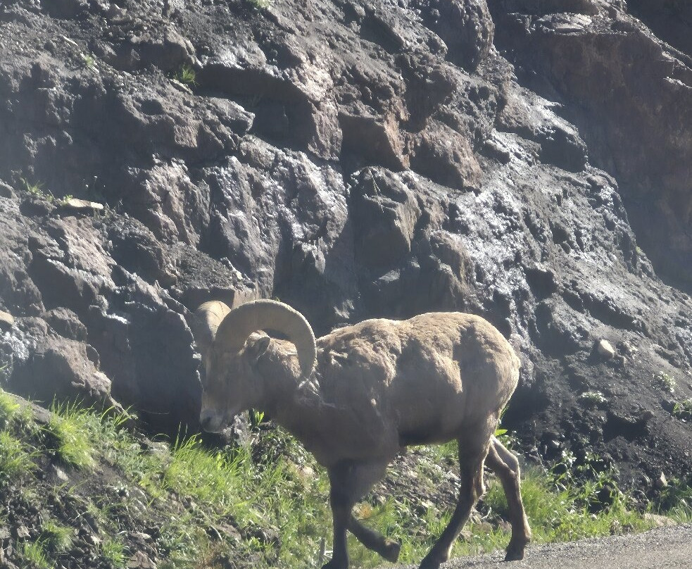 Yellowstone National Park-黄石国家公园必去景点