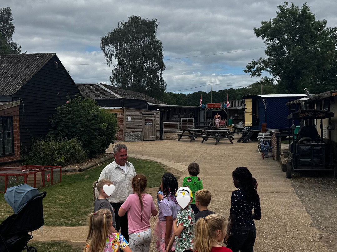 Dorset Heavy Horse Farm Park-Verwood必去景点