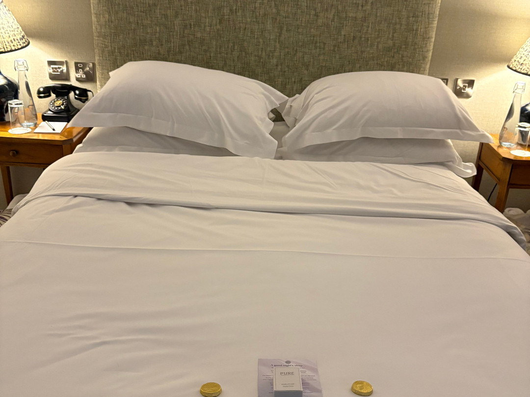 天鹅Spa酒店主图