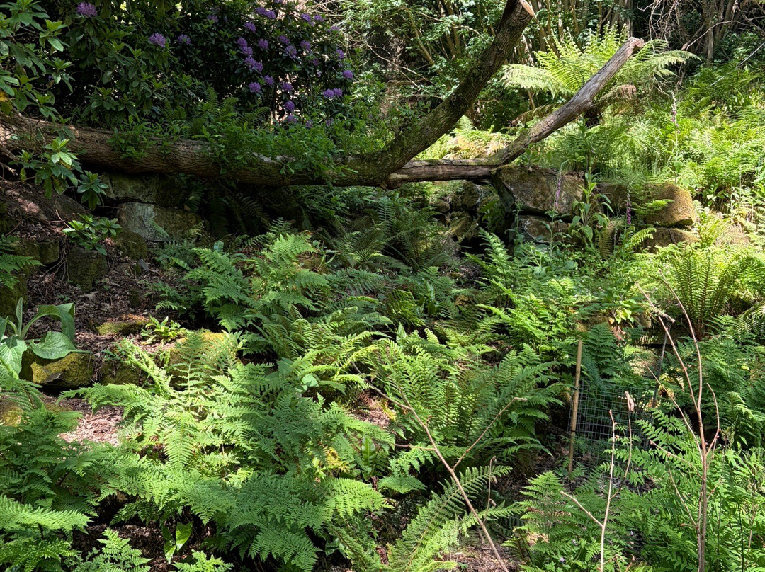 Riverhill Himalayan Gardens-Sevenoaks必去景点