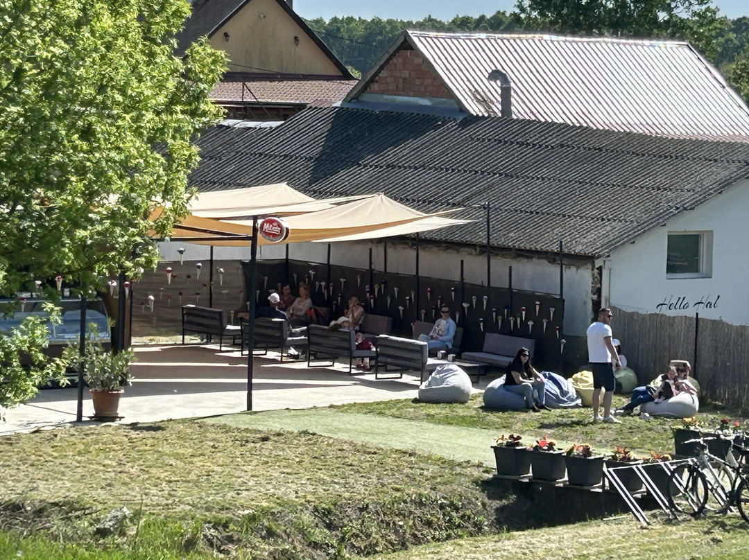 Fagyikert Tiszaörvény