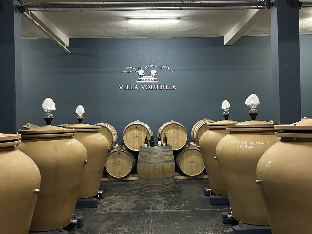 Volubilia-Domaine de la Zouina-梅克内斯必去景点