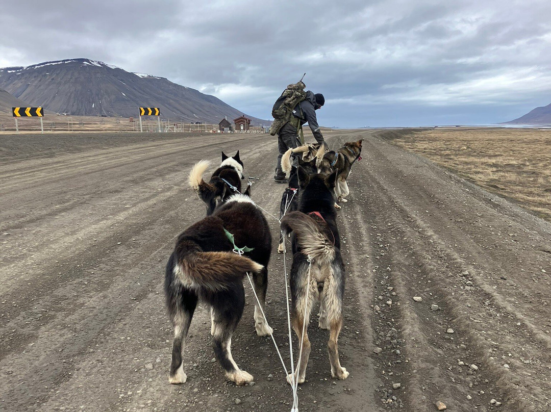 Green Dog Svalbard-朗伊尔城必去景点