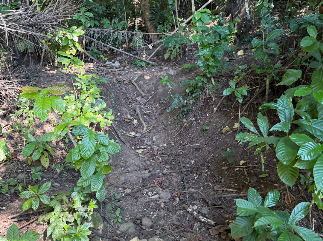 Trekking Candidasa-甘地达萨必去景点